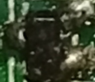 MMBTA56